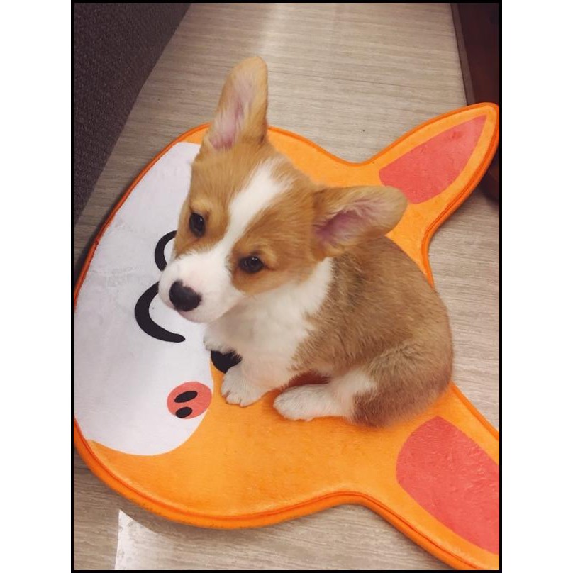 Murah Corgi Head Carpet Rug Mat Karpet Bentuk Kepala Anjing