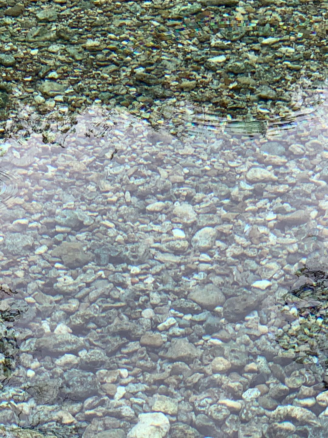 Sikat Baju 835 Nagata