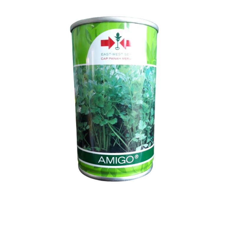 Benih seledri Amigo 50gr -Capinghijau-