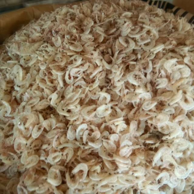 

Udang kecepe