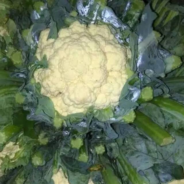

Kembang kol 500 gram/ sayuran murah segar