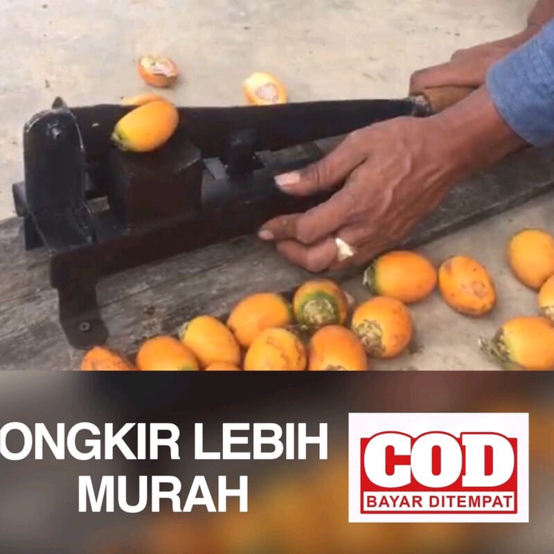 Alat Pembelah Pinang Alat Pencongkel Pinang Alat Pengupas Pinang