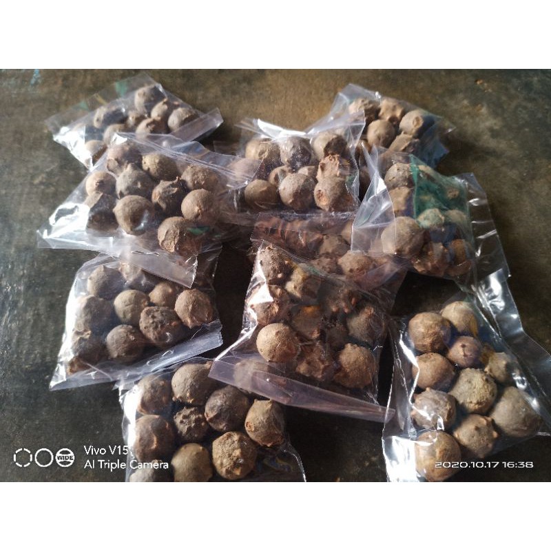 

Buah manjakani asli