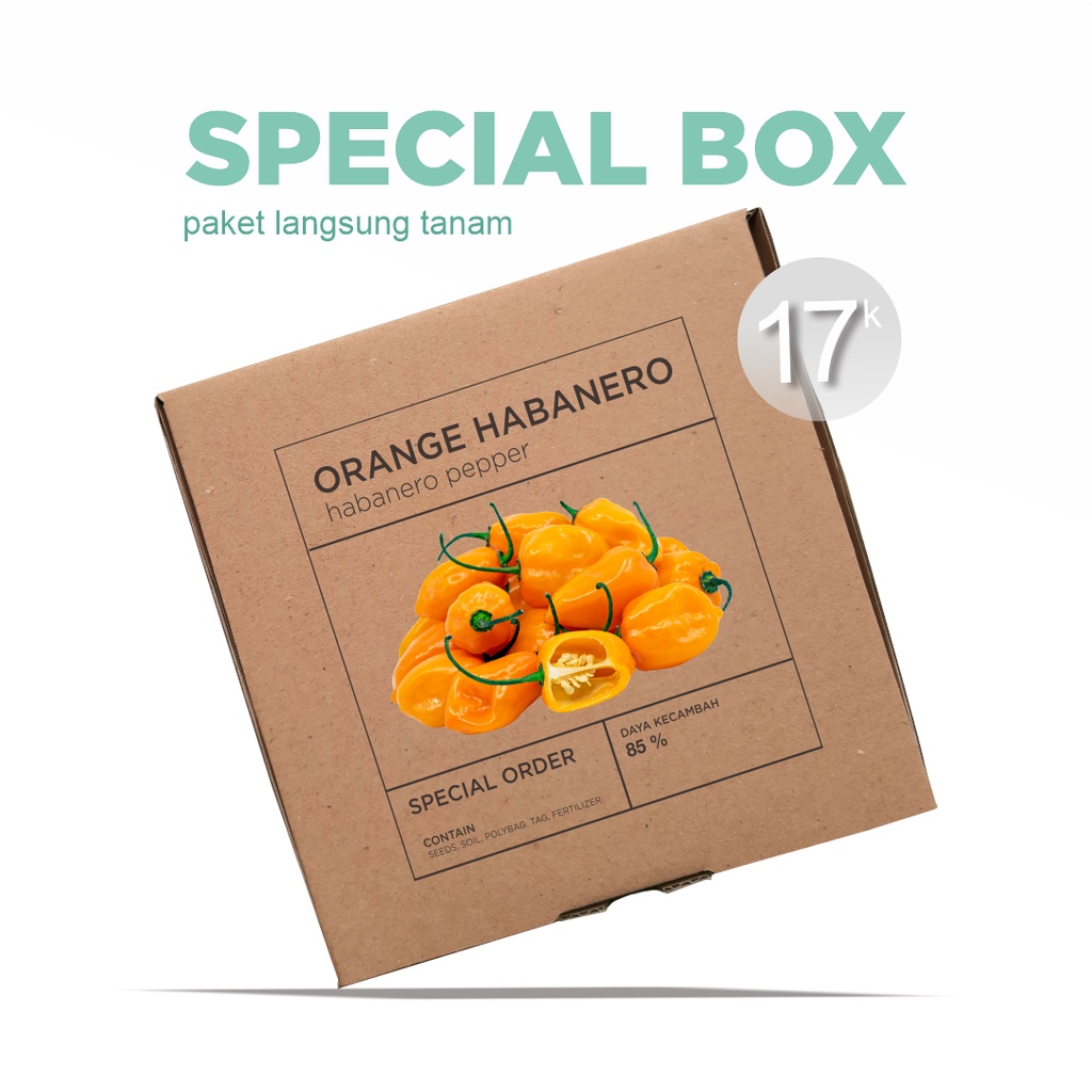 Paket Langsung Tanam - Gardening Kit - SPECIAL BOX - Benih Cabai Orange Habanero Pepper Seeds