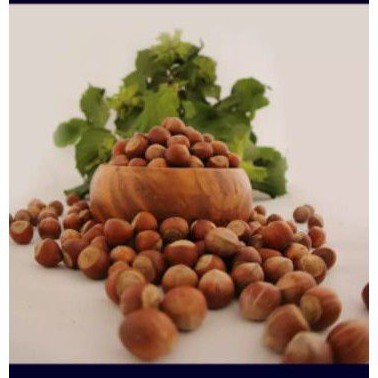 

HAZELNUT TURKEY MENTAH 1KG/ KACANG HAZELNUT TURKEY 1 KG