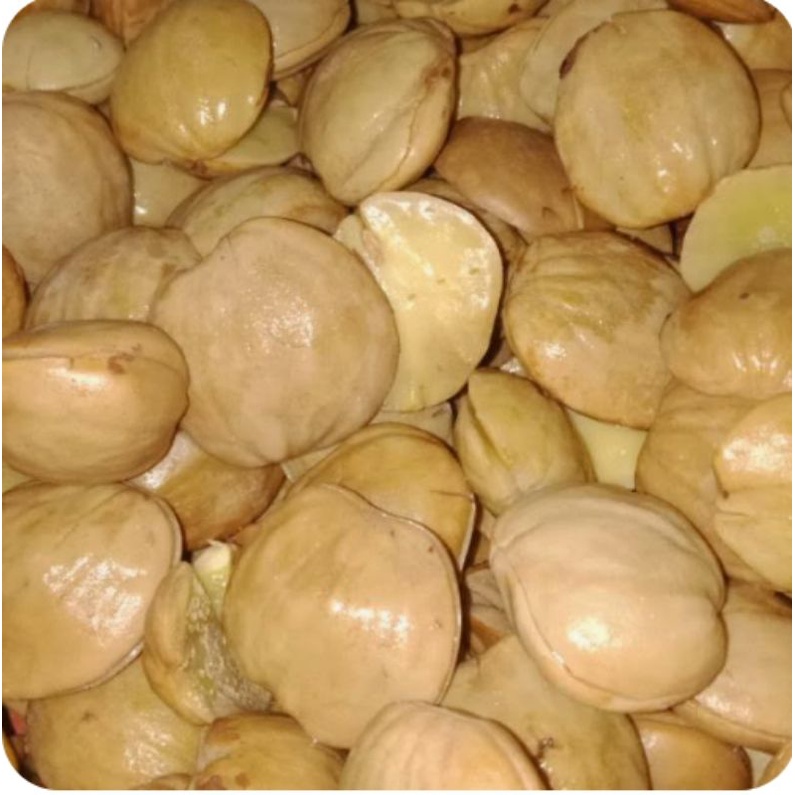 

Jengkol Masak 35000 /500 gram