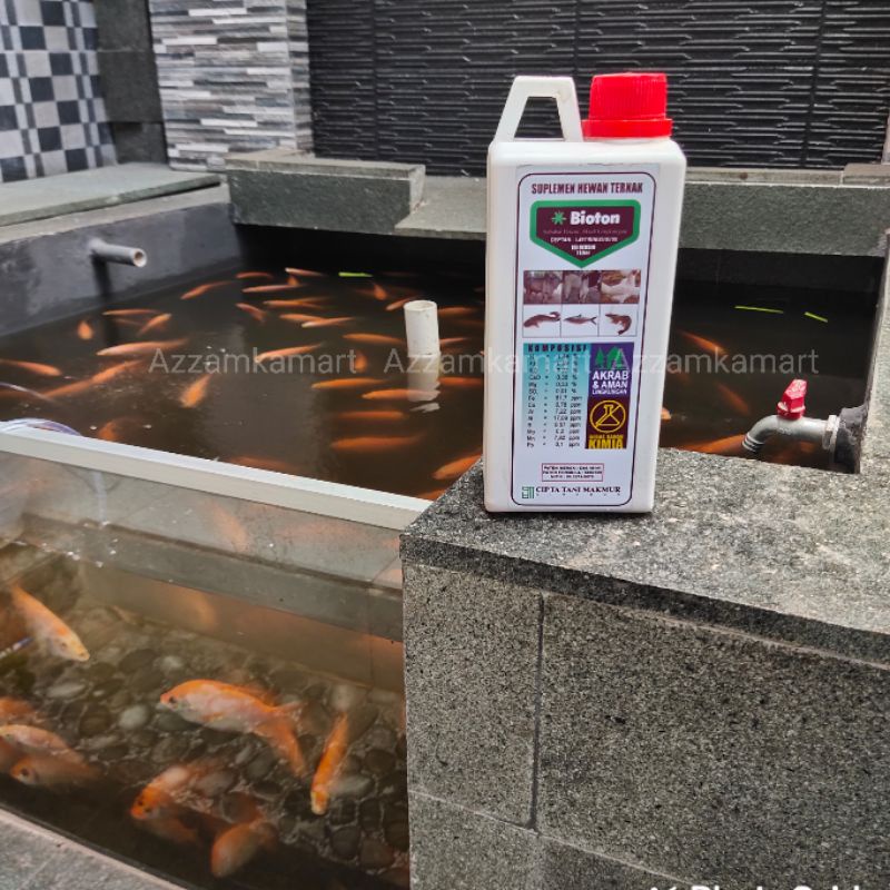 Probiotik BIOTON Budidaya Ikan Hias Cupang Lele Patin Nila Gurame Udang Penghilang Bau Air Kolam