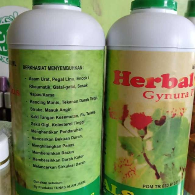 Gynura Plus 1 Liter Original Minuman Herbal Sehat Ramuan Daun Dewa Obat Penyakit Asli Ori