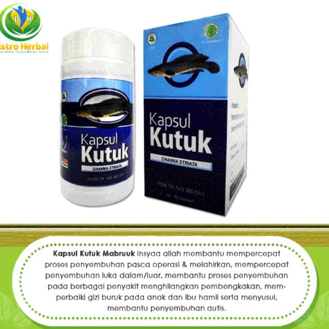 Sari Kutuk Kapsul Kutuk,Ekstrak Kutuk.