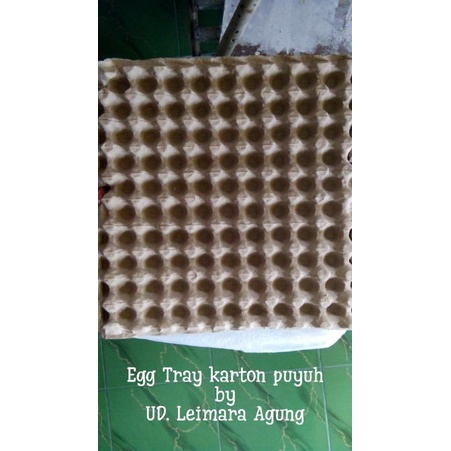 Tempat telur puyuh karton