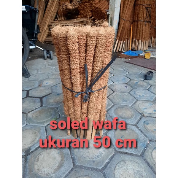 TURUS PENYANGGA TANAMAN RAMBAT 50 CM