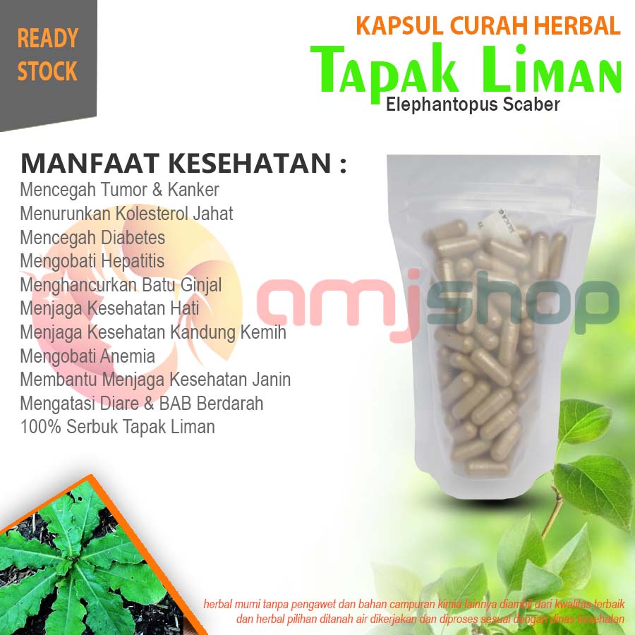 

Kapsul curah herbal tapak liman kapsul herbal kolesterol hepatitis batu ginjal