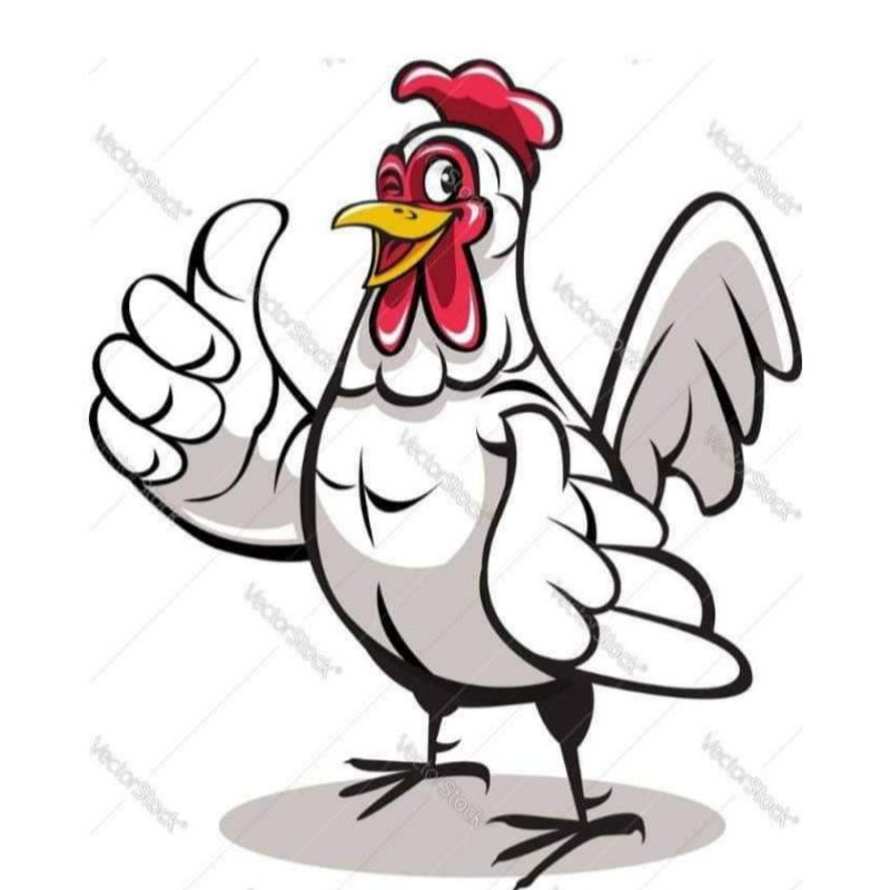 

ayam potong