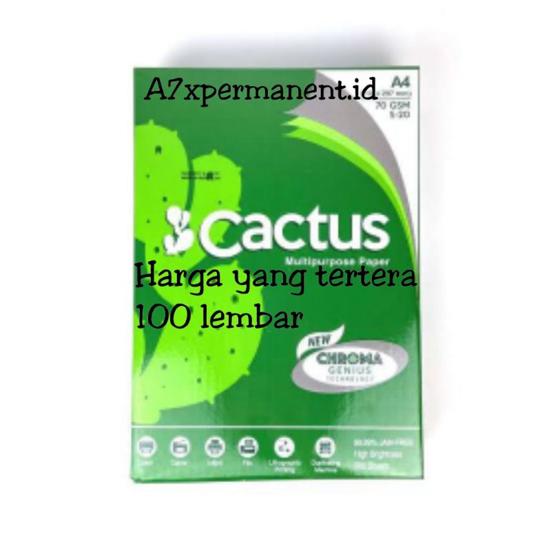 

Kertas Hvs Cactus 100 lembar