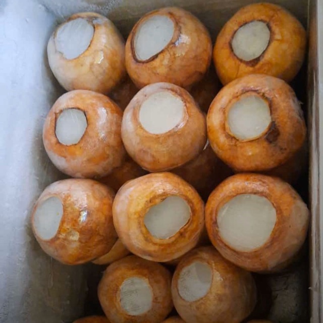 

Puding kelapa
