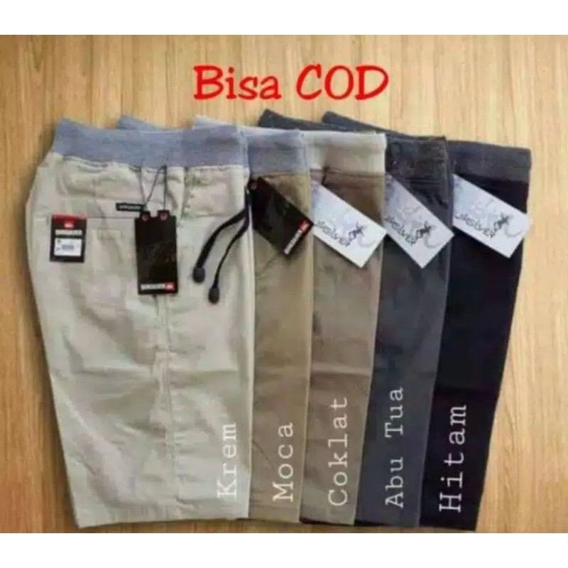 Celana Chino Pendek Pria Dewasa Cowok Rip Kolor Pinggang Karet Chinos Surfing Distro Jumbo