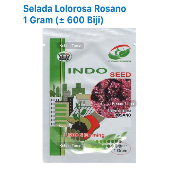 Benih Selada Lolorosa Rosano Keriting Merah Indoseed Enza Zaden