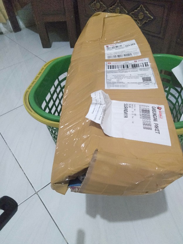 Tanaman Hias Chalatea Tisu White Fision