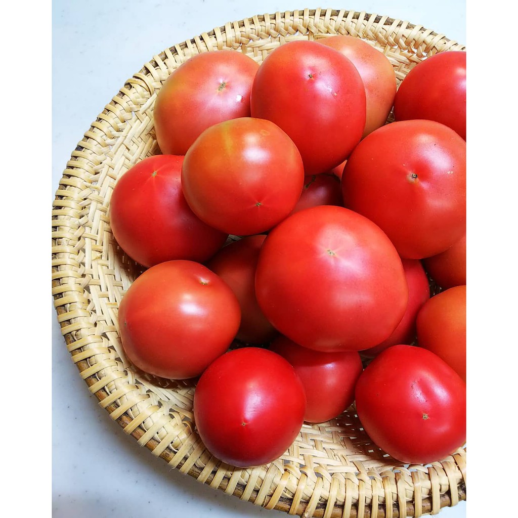 Tomat Apel Segar | Apple Red Tomato