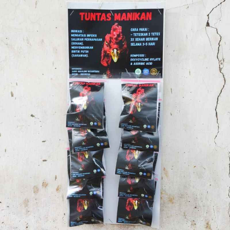 TUNTAS MANIKAN obat gom/ SARIAWAN