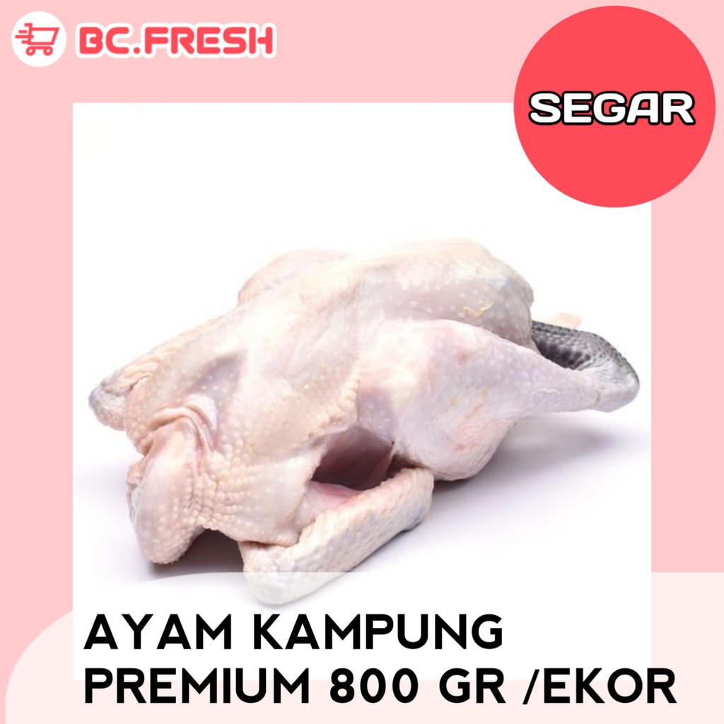 

Ayam kampung utuh premium (tanpa ati ampela) 800 gram