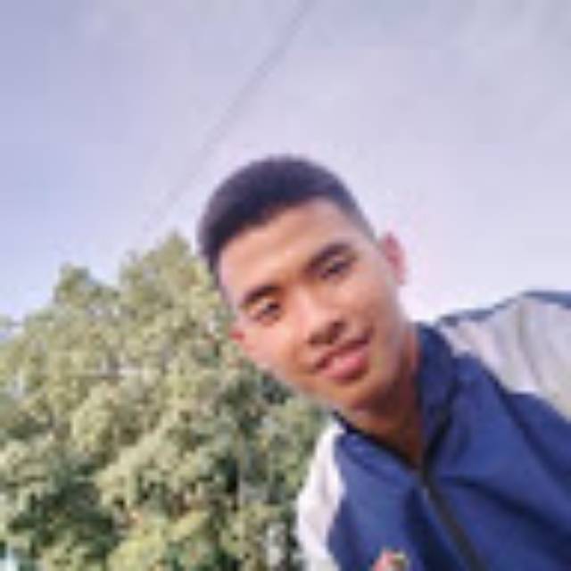 vinc_a