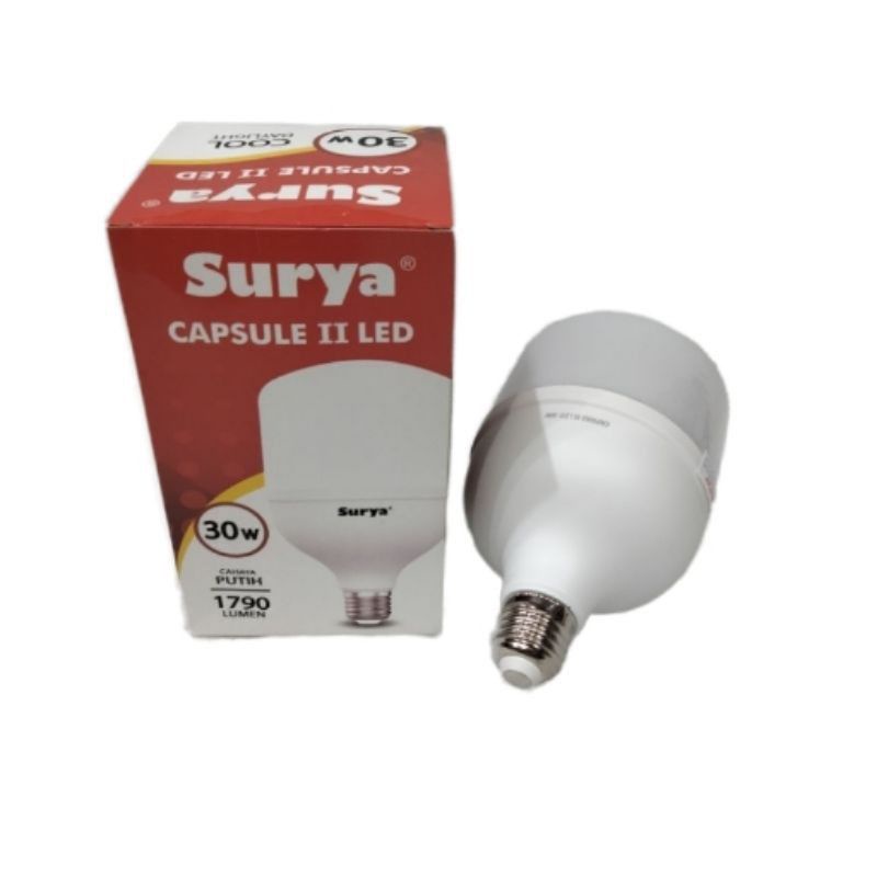 Lampu Surya LED Capsule 30Watt