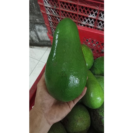 

Alpukat mentega