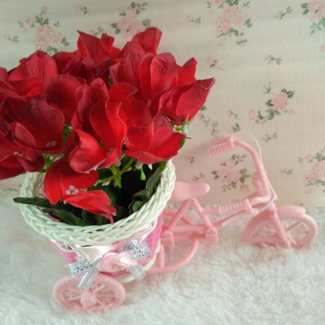 Pot sepeda bunga colour mini