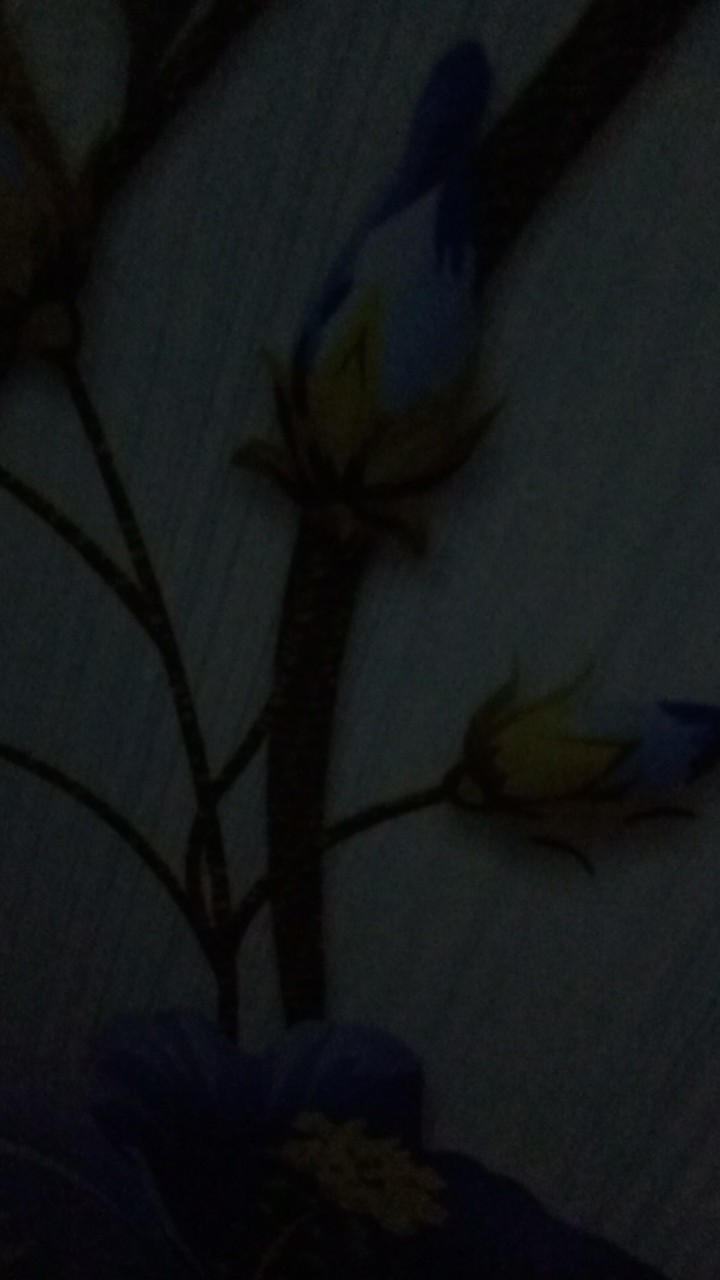 Paket Usaha Dagang Ball Import Atasan & Dress/tunik Campuran 100 Pcs