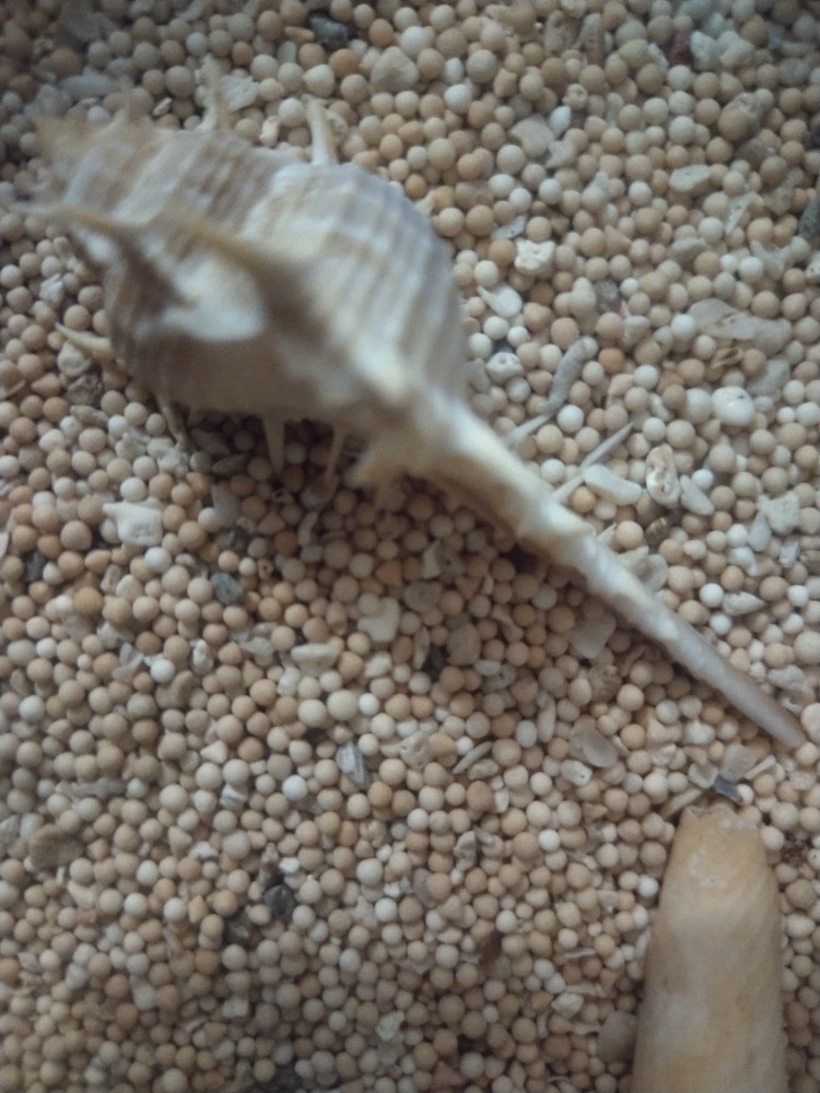 Batik Wanita - Atasan Blouse Batik Wanita Fashion 312