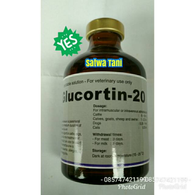GLUCORTIN-20

Analgesia, Antipiretika dan Antiinflamasi