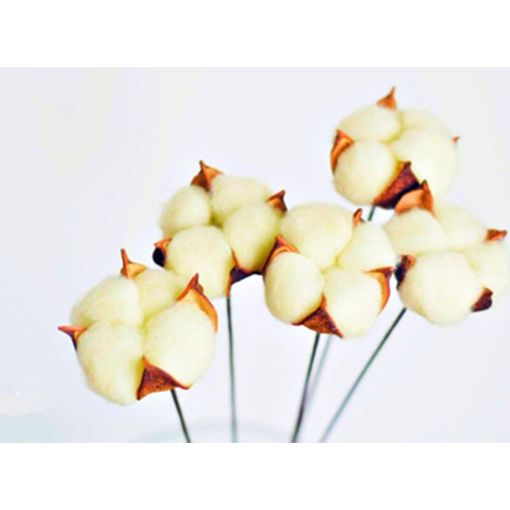 Cotton Flower Bunga Kapas Asli Single Stem Dekorasi Hiasan Bunga Artificial per tangkai-KUNING