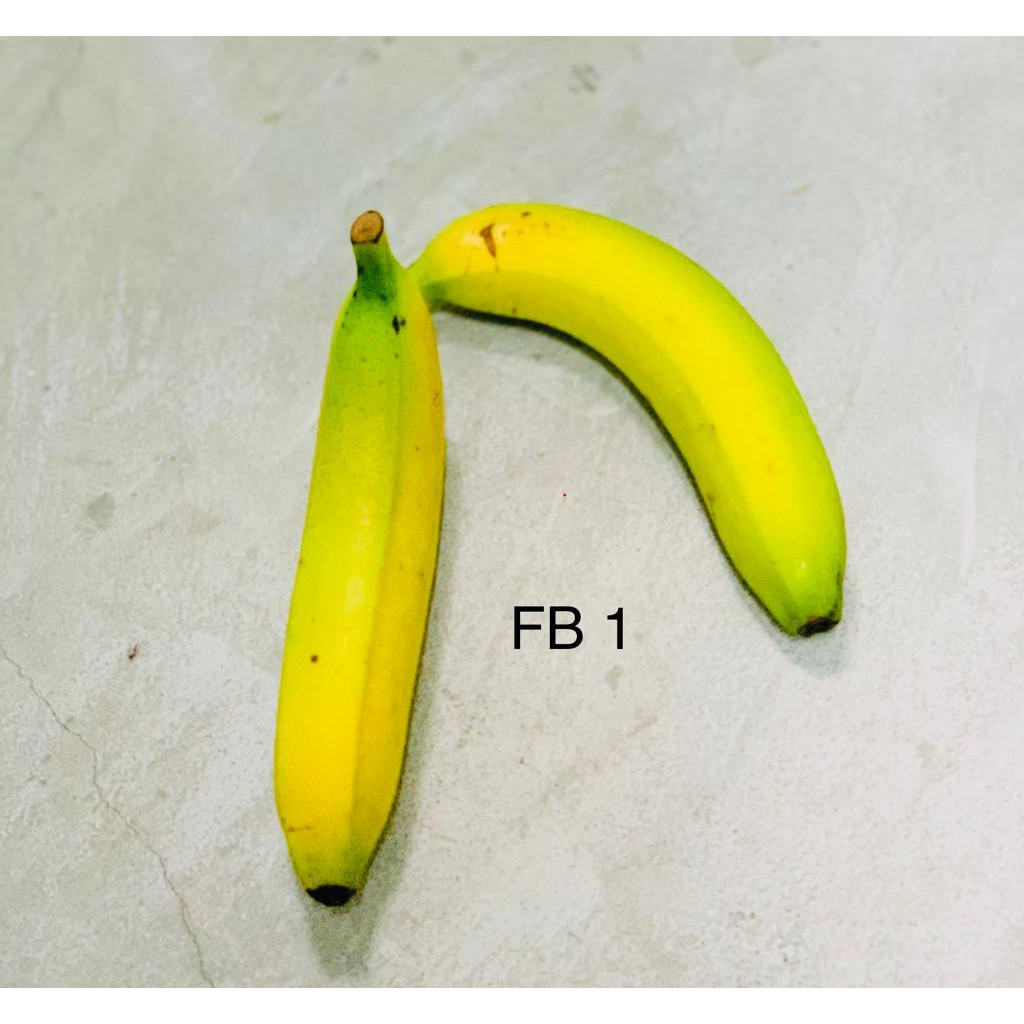 

Pisang Cavendish