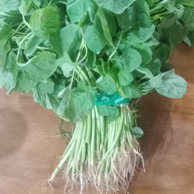 Sayur Bayam Hijau Segar Fresh 1 kg / Bayam 1kg