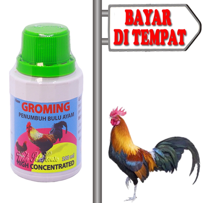 Vitamin Tumbuh Bulu Ayam Pencegah Rontok Groming