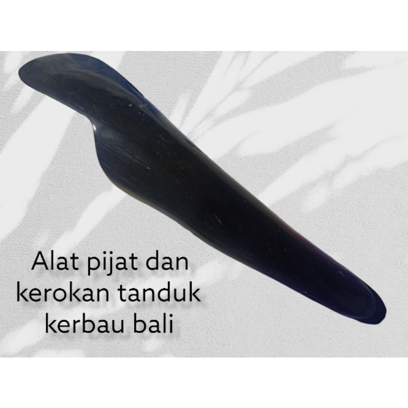 Alat Pijat badan dan kerokan masuk angin dari tanduk