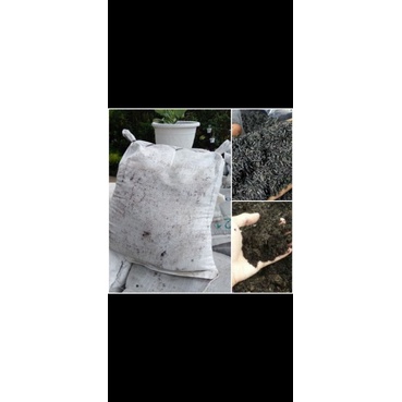 Media Tanam Organik Tanah Hitam ( Kompos , Sekam Bakar , Tanah Hitam )