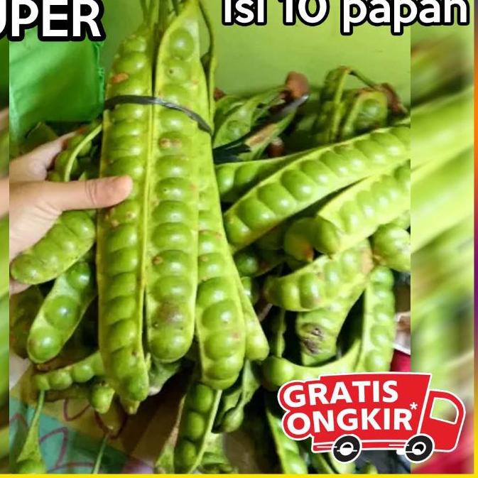 

Paling Laris|SQ13|paket 10 papan pete segar / 1 ikat