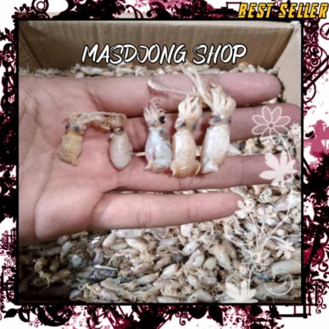 

[COD] baby cumi asin kering grade A size(0.5-1cm)(1000gr/1kg) [COD]