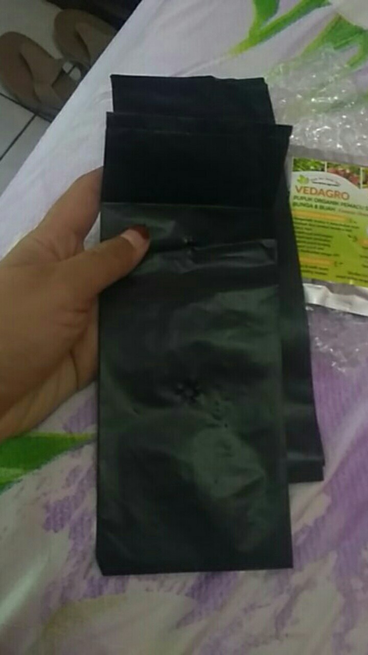Polybag Media Tanam Cocok Untuk Rumahan
