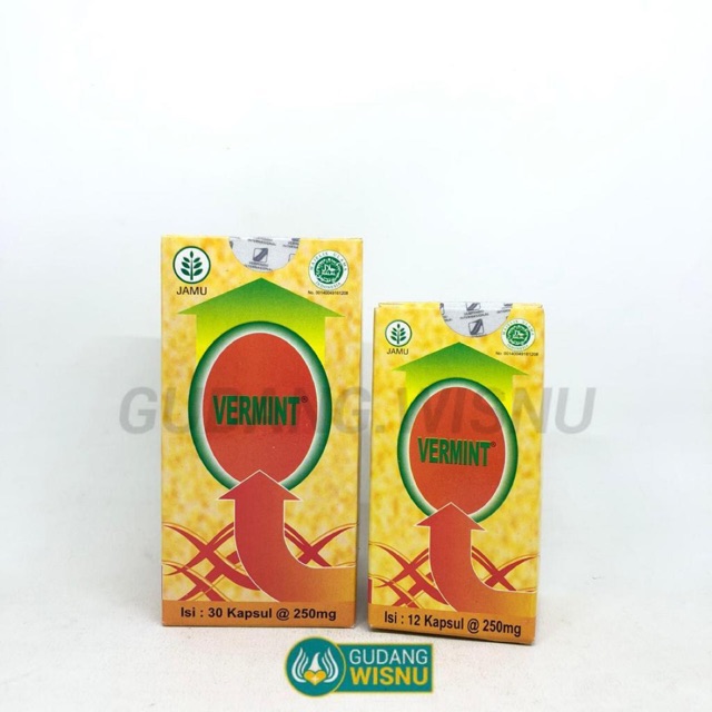 

VERMINT PENURUN DEMAM