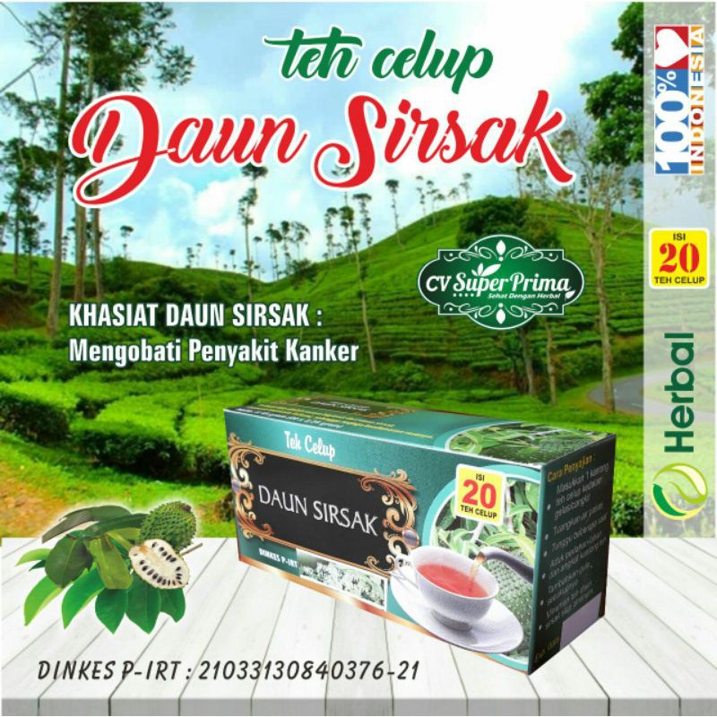 TEH HERBAL DAUN SIRSAK MENGOBATI KANKER ( SIRSAK)