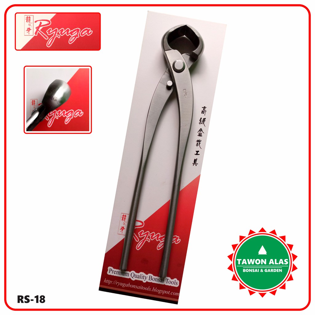 Catok Bonsai Cembung, Catut Bonsai