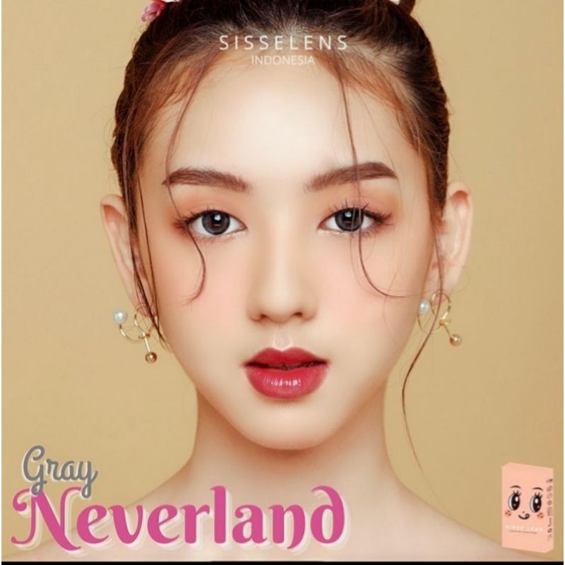 SISSE LENS NEVERLAND SOFTLENS GRAY BROWN Normal s/d -500