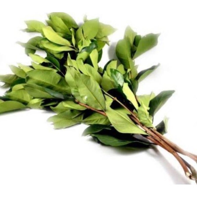 

daun salam per iket