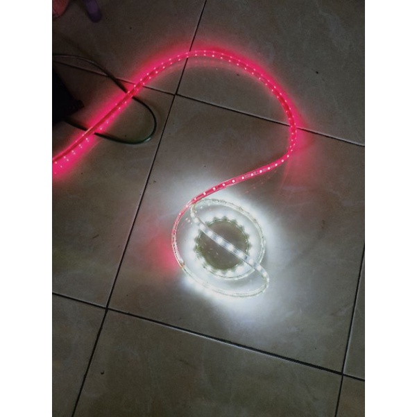 LED MERAH PUTIH