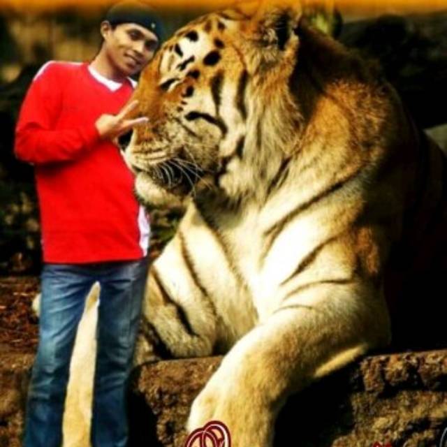 azitanilamrahmani