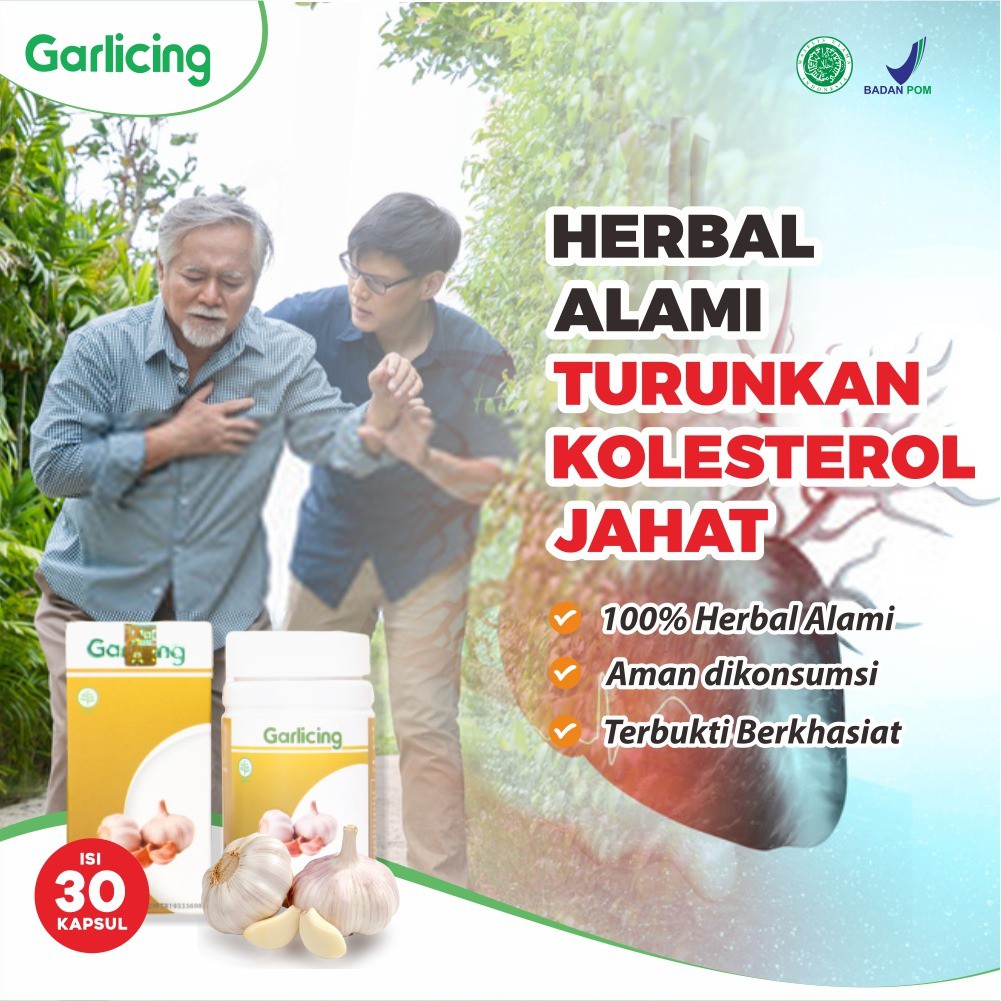 Ekstrak Bawang Putih Dayak Garlicing Herbal Alami Memelihara Jantung Dan Menurunkan Kolesterol