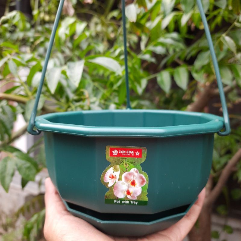 Pot Gantung Lion Star Gardenia Flower #5 Hijau / Pot Bunga